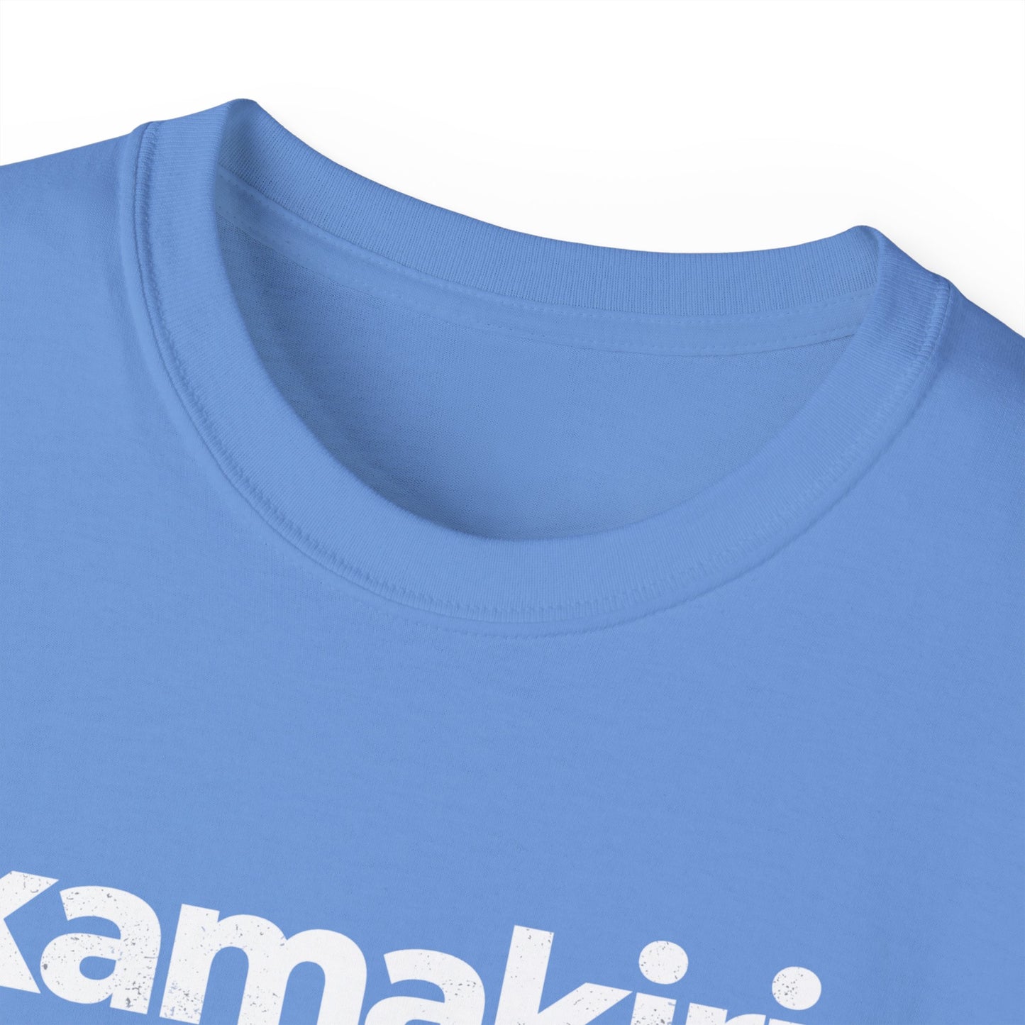 Praying Mantis Kamakiri T